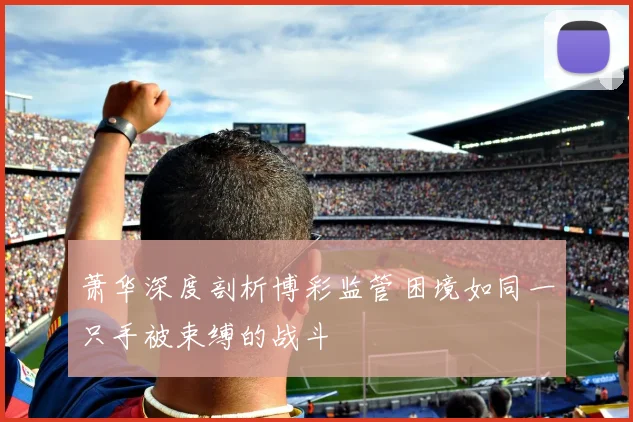 萧华深度剖析博彩监管困境如同一只手被束缚的战斗