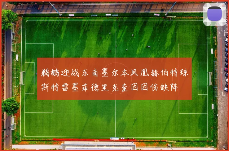鹈鹕迎战东南墨尔本凤凰赫伯特琼斯特雷墨菲德里克奎因因伤缺阵