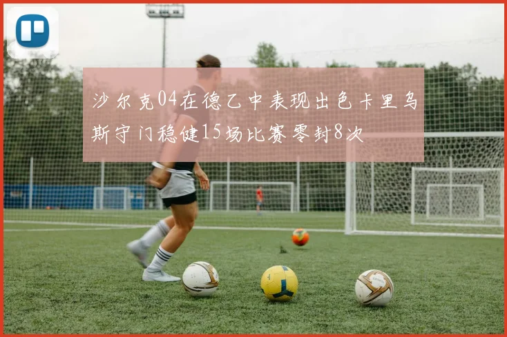 沙尔克04在德乙中表现出色卡里乌斯守门稳健15场比赛零封8次
