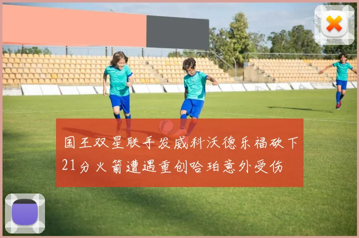 国王双星联手发威科沃德乐福砍下21分火箭遭遇重创哈珀意外受伤