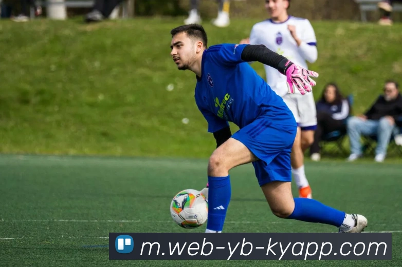 开元棋牌平台生态图